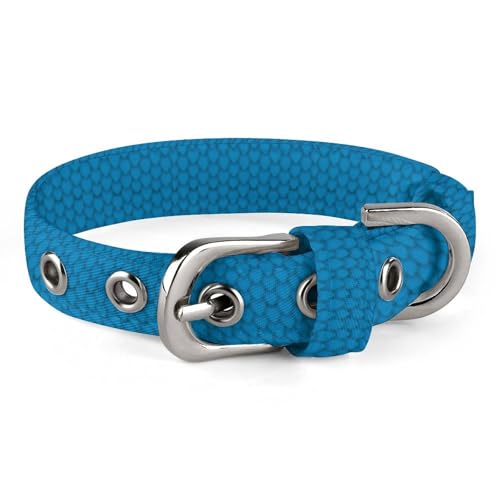 Verstellbares blaues Hundehalsband mit Drachenschuppen, bequemes Haustierhalsband für kleine bis mittelgroße Hunde von Hyghfg