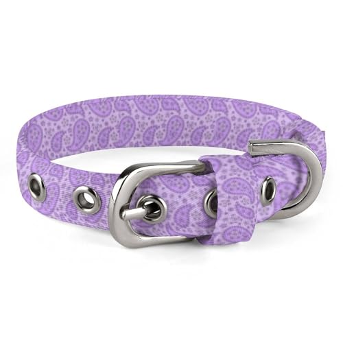 Verstellbares violettes Paisleymuster-Hundehalsband, bequemes Haustierhalsband für kleine bis mittelgroße Hunde von Hyghfg