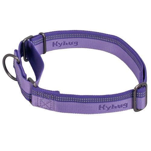 Hyhug Design, Martingale Nylon Klassische Halsbänder ，Anti-Flucht Hundehalsband. 3M Reflektierender Streifen, Sicherer Nachtspaziergang, Hunde-ID-Tag-Montageloch (Groß, Paisley Lila) von Hyhug