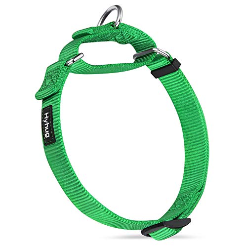 Hyhug langlebiges Nylon-Erstickungshalsband, geeignet für den täglichen Gebrauch und das Training von kleinen, mittleren und großen Hunden (Mittel, Limonengrün) von Hyhug