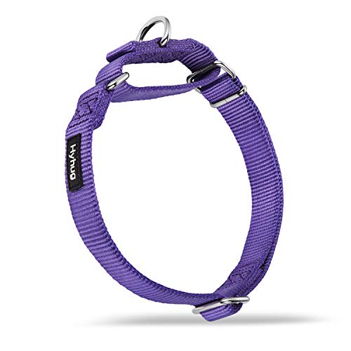 Hyhug Design Metallzubehör einfarbiges Nylonhalsband, Martingale Hundehalsband. (Groß, Ultraviolettes Licht) von Hyhug