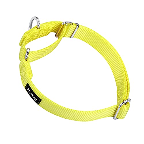 Hyhug Haustier-Martingale-Halsband aus strapazierfähigem Nylon, entfliecht, mittelgroß, für Jungen und Mädchen, Hunde, bequem und sicher – professionelles Training von Hyhug