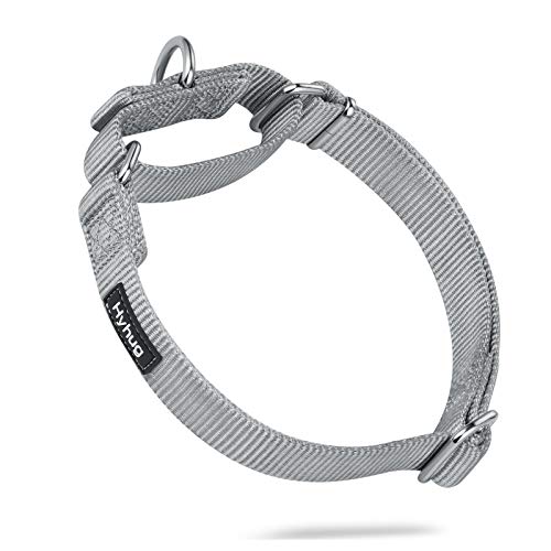 Hyhug entwirft das Klassische Nylon einfarbige Martinale Hundehalsband für Fluchtprävention, Halsband Hund，tägliche und Trainingsnutzung (Klein, Sleet grau) von Hyhug