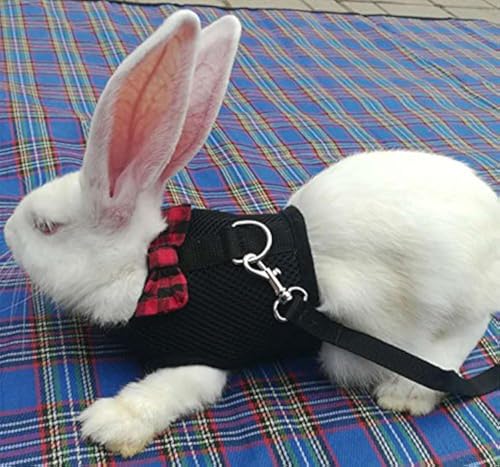 Bunny Kitten Harness No Pull Cat Leash Stilvolle Weste Geschirr für Kleintiere Verstellbar Weich Atmungsaktiv Walking Harness Set (Schwarz, M) von Hypeety