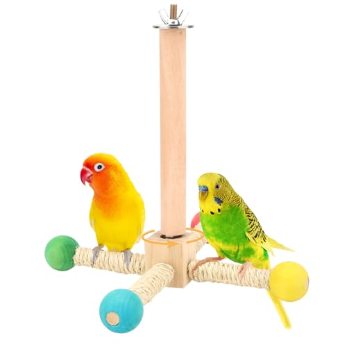 Hypeety Drehbare Vogel-Sitzstange, Spielzeug, Naturholz, interaktives Übungsrad, Papageien-Sitzstange, Spielzeug, drehbare Sitzstange für Vögel, Papageien, Sittiche, Wellensittiche, Lovebirds Finken, von Hypeety