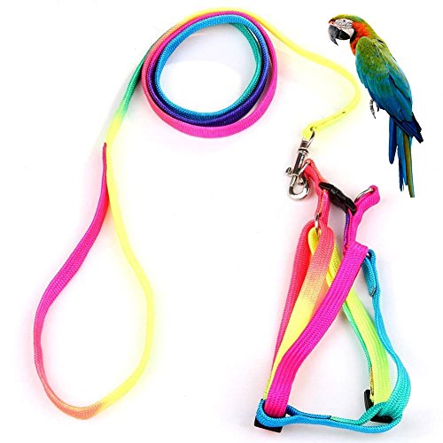 Hypeety Vogelgeschirr und Leine mit Schnalle, bezauberndes Regenbogen-Design, sichere Papageienleine, Haustiergeschirr, Outdoor, verstellbares Anti-Biss-Trainingsseil für Ara, große Vogel (M: 1 cm × von Hypeety