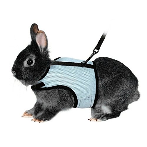 Kaninchen-Geschirr für kleine Tiere, verstellbar, weiches Geschirr und Leine, Set für Kaninchen, Katzen, kleine Haustiere, Größe L: Brust (20 cm - 32 cm), Blau von Hypeety