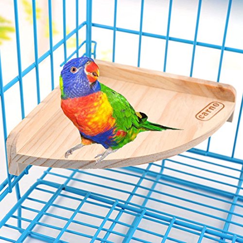 Pet Platform Bird Wooden Playground Stand Barch Sittich Conure Hamster Rennmäuse Ratte Maus Totoro Käfig Zubehör Kleine Tiere Steht Übung Spielzeug von Hypeety