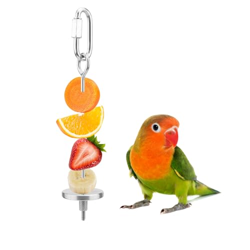 Vogel Fruit Gemüse Halter, Edelstahl Gemüse Spiess Aufhängen Food Feed Werkzeug für Parrot Wellensittiche Sittiche Nymphensittiche Sittiche Lovebirds Finch Kanarischen Taube Hamster Ratten Rennmaus Käfig von Hypeety