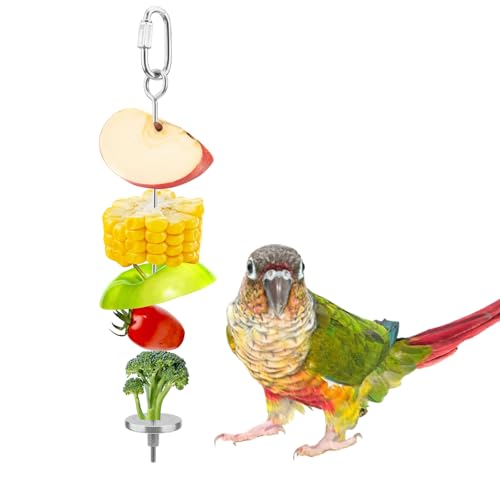 Vogel Fruit Gemüse Halter, Edelstahl Gemüse Spiess Aufhängen Food Feed Werkzeug für Parrot Wellensittiche Sittiche Nymphensittiche Sittiche Lovebirds Finch Kanarischen Taube Hamster Ratten Rennmaus Käfig von Hypeety