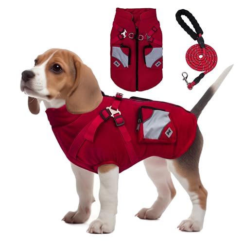 Winter Hundemantel, Warme Hundebekleidung mit Leine, Hundebekleidung & Zubehör für kleine Hunde, Es ist EIN Hundejacke Geschenk für Hunde (XL, Rot) von Hywean Neds