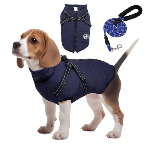 Winter Hundemantel, Warme Hundebekleidung mit Leine, Hundebekleidung & Zubehör für kleine Hunde, Es ist EIN Hundejacke Geschenk für Hunde (XL, blau) von Hywean Neds