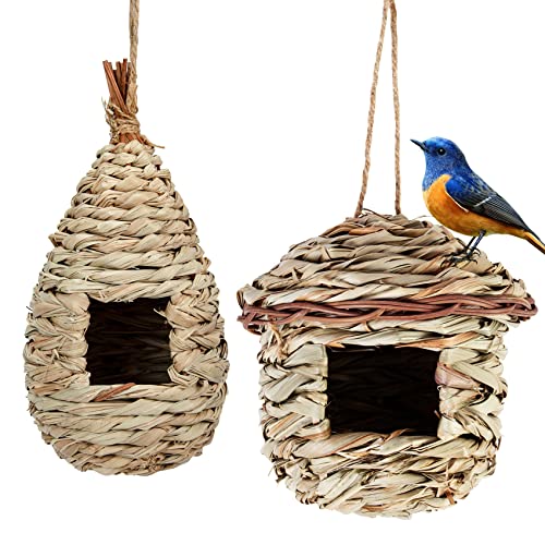 2 Pack Vogelhäus zum Aufhängen, Wildvogelnest für den Außenbereich, Nistkästen für Kleine Vögel wie Kolibris, Robin, Spatzen und Titten, 100% Naturproduk Grün von Hywean Homd