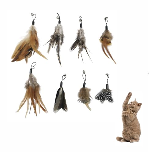 Hyxodjy 8 Stück Katzen Federspielzeug, Katzenspielzeug Set Katzenspielzeug Federn Ersatz Cat Feather Toys Katzenspielzeug mit Federn Interaktives Katzenspielzeug für Katzen und Kätzchen von Hyxodjy