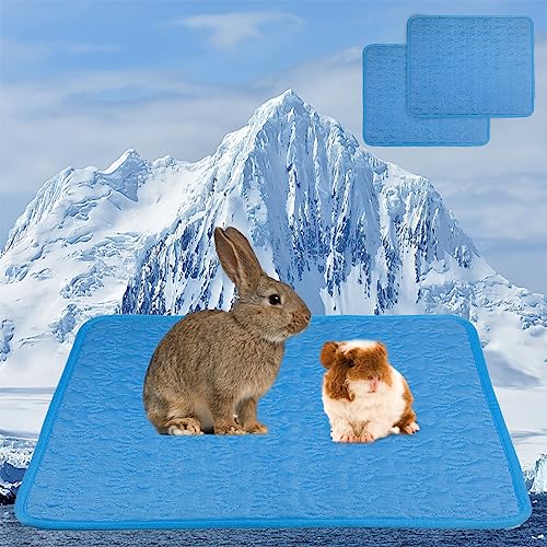 HzNzYHD Kühlmatte für Meerschweinchen, Kühlmatte für Meerschweinchen, 50 x 40 cm, selbstkühlendes Eiskissen für Kleintiere, Hamster, Chinchillas, Kaninchen, Katzen, Welpen, 2 Stück von HzNzYHD