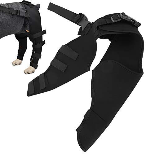 Dog Elbow Brace Protector Pads Haustier Hund Hinterbeine Protector Verstellbare Kniestütze Beinstütze für Hunde Hinterbeine Erholen(M) von Hztyyier