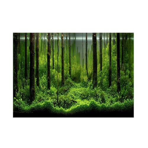 Hztyyier Aquarium Poster, PVC Aquarium Hintergrund Klebstoff Poster Unterwasser Aquarium Poster Hintergrund Dekorationspapier(61 * 30cm) von Hztyyier