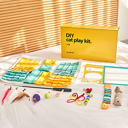 PETREST D.I.Y. Katzenspielset Set B – interaktives, lustiges Katzenspielzeug-Set inklusive Nasenarbeit, Katzenminzenkissen, Angelrute, Pfeifenreiniger und Planer von I-SCREAMMEDIA