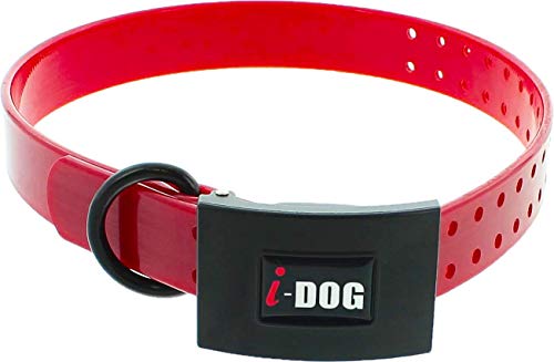 I-dog HALSBÄNDER Premium (rot) von I-dog