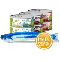 I love my cat Starter-Paket mit Katzenfutter Nass mit Huhn, Insekten, Lachs und Truthahn - 6x100g von I love my cat