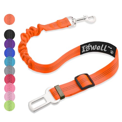 IBWell Hunde-Sicherheitsgurt für Auto mit elastischer Bungee-Leine, Auto-Leine für Hunde, Hundeauto-Sicherheitsgurt für Hunde, IPCS (Orange) von IBWell