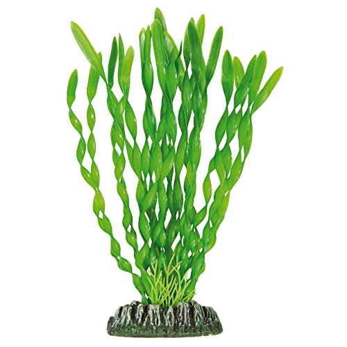 ICA Aquatic Plants AP1034 Künstliche Vallisneria Pflanze für Aquarien, 21,5 cm von ICA