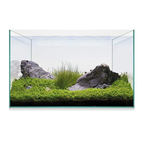 ICA Aquascape Basic 20 Kit 18 ml von ICA