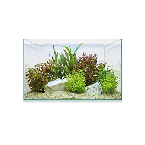 ICA Urna Aquascape Basic 8 6.8 ml von ICA