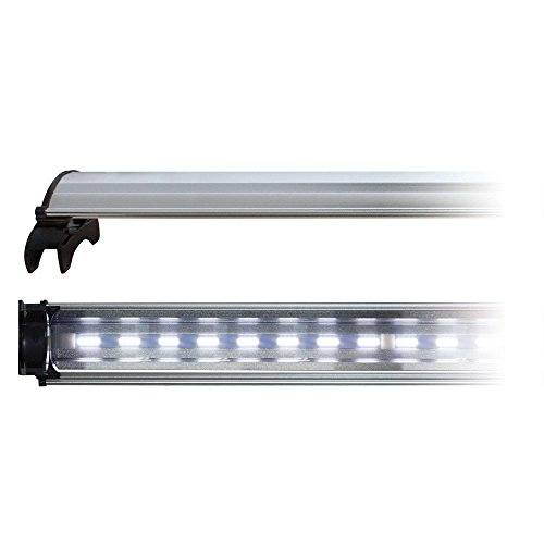 ICA cld100s Lampe COB LED mit weißen Licht von ICA