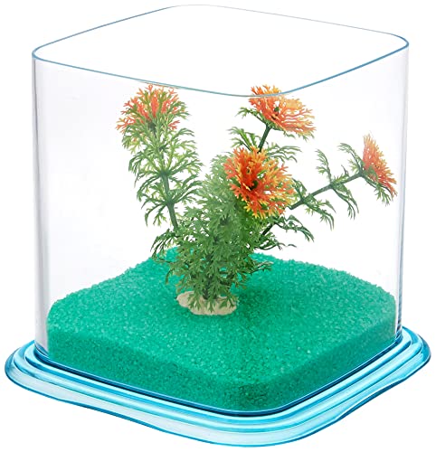 ICA pt072d Bettera Betta Paradise von ICA