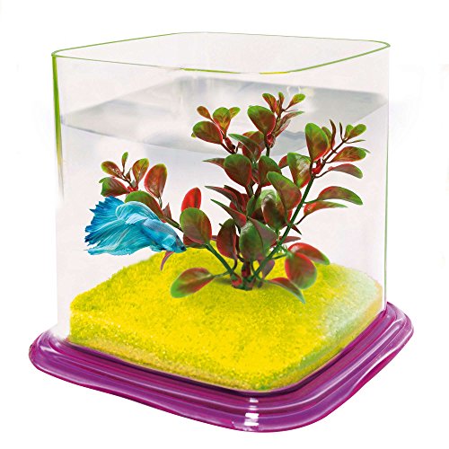 ICA pt072e Bettera Betta Paradise von ICA