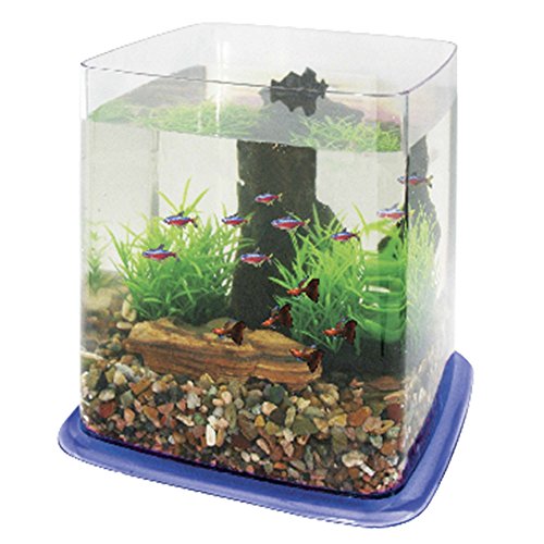 ICA pt073d Bettera Betta Battle Paradise von ICA