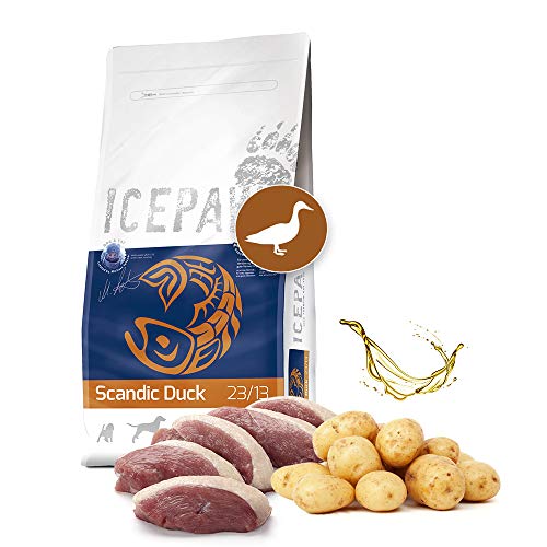 ICEPAW I High Premium Trockenfutter I Scandic Duck 4 x 2 kg I Mit Ente und Kartoffeln I getreidefrei I Für futtersensible Hunde von ICEPAW by Michael Tetzner