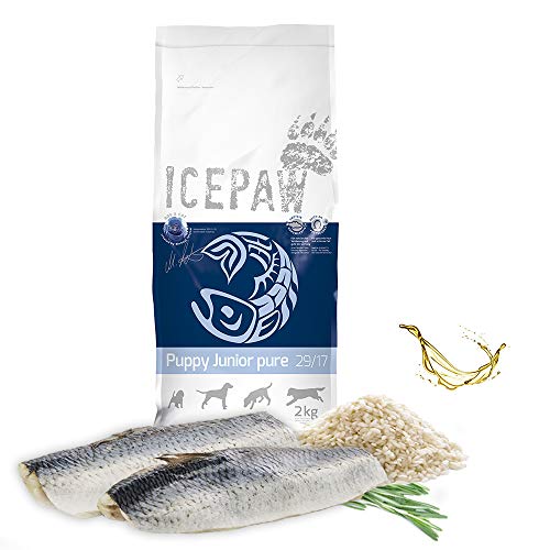 ICEPAW I High Premium I Trockenfutter Puppy Junior pure 2 kg I Mit Fisch (Hering) und Reis I Für Welpen und Junghunde von ICEPAW by Michael Tetzner