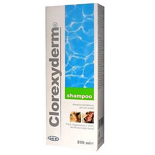 Clorexyderm® Shampoo 4% von ICF