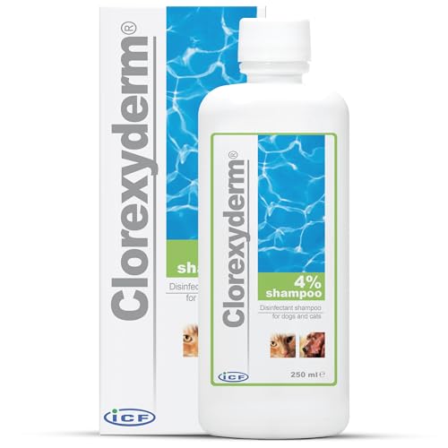 ICF Clorexyderm® Shampoo 4% von ICF