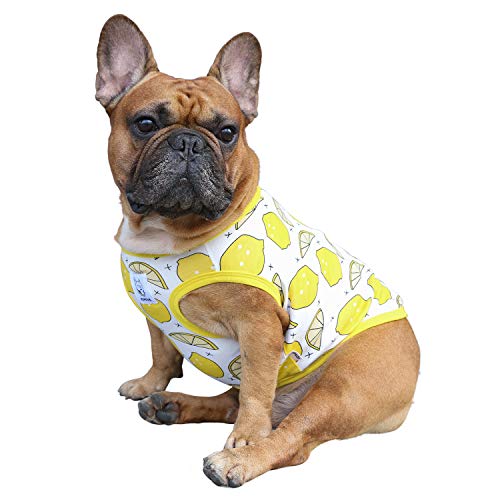 iChoue Haustier-Hunde-Shirt, Weste, ärmellos, Baumwolle, Obstdruck, Pyjama für Französische Bulldogge Mops, M, zitronengelb von ICHOUE