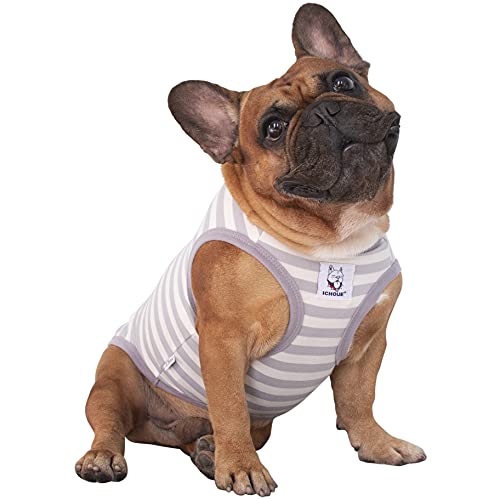 iChoue T-Shirt mit französischer Bulldogge, 100 % atmungsaktive Baumwolle, gestreift, Halloween, Weste, Kleidung für mittelgroße Hunde, Tank-Top, Frenchie, Mops, Englischer Boston Terrier, Pitbull, von ICHOUE