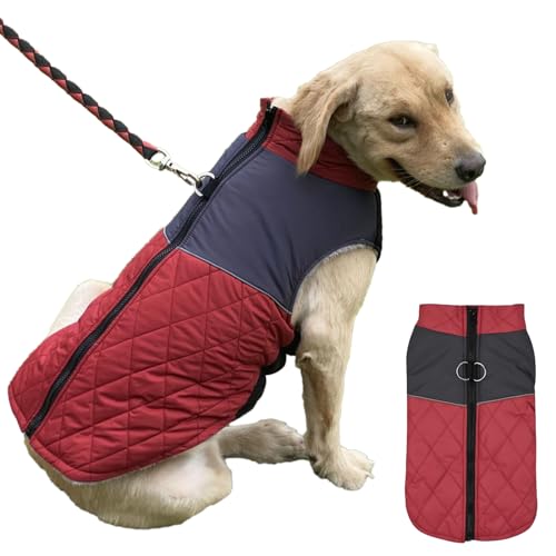 Hundejacke, Samt-Nachtsicht-Haustierjacke, warmer Hundemantel mit Geschirr, wasserdichte Hundejacke für den nächtlichen Spaziergang, verstellbarer reflektierender Hundemantel für mittelgroße und große von IDIDOS