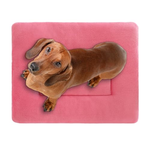 IDIDOS Hundebett-Pad, waschbare Hundebett-Polsterung, verdickte Wärme, Flanell, Hundehüttenmatte, weich, bequem, doppelseitig, waschbar, Haustierbettkissen für alle Jahreszeiten und verschiedene von IDIDOS