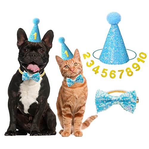 IDOLPET Hund Katze Geburtstag Hut Hund Katze Mädchen Junge Geburtstag Party Hut mit Niedlicher Fliege für Kleine Mittlere Welpen Hunde Katzen Hund Hochzeit Halsband Outfit (Blau) von IDOLPET