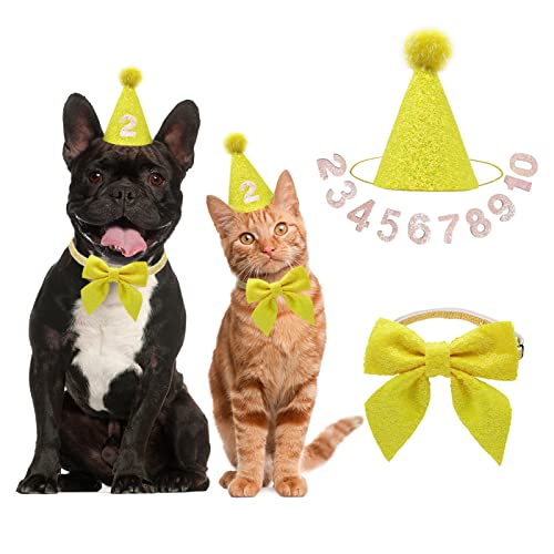 IDOLPET Hund Katze Geburtstag Hut Hund Katze Mädchen Junge Geburtstag Party Hut mit niedlicher Fliege für kleine mittelgroße Welpen Hunde Katzen Hund Hochzeit Halsband Outfit (Gelb) von IDOLPET