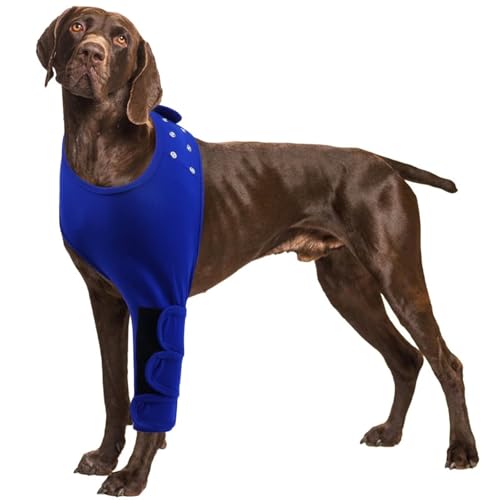 IECOii Dog Recovery Sleeve,Dog Recovery Suit, Abrasion Resistant Dog Recovery Sleeve Front Leg,Protective Elbow Protector for Medium Large Dogs, Dog Cone Alternative to Stop Licking Leg Wounds von IECOii