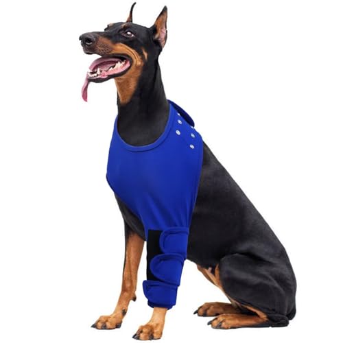 IECOii Dog Recovery Sleeve,Dog Recovery Suit, Abrasion Resistant Dog Recovery Sleeve Front Leg,Protective Elbow Protector for Medium Large Dogs, Dog Cone Alternative to Stop Licking Leg Wounds von IECOii