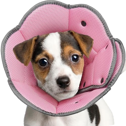 IECOii Halskrause für Hund,Leckschutz Halskrause für Kleine Hunde,Halskrause Katze,Weiche Kegel FüR Hunde Nach Der Operation Zu Stoppen Lecken,AnpassungsfäHig Hund Kegel für Chihuahua,Rosa-S von IECOii