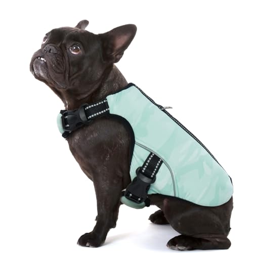 IECOii Kühlhundweste,Atmungsaktive Hund Kühlweste für Sommer,Mittlere Hund Kühlweste Harness Kühler Jacke für Hunde,Verdunstungs Kühlshirt für Hot Weather Hunde draußen zu Fuß,Strand,(Grün,M) von IECOii