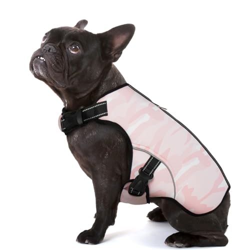 IECOii Kühlhundweste,Atmungsaktive Hund Kühlweste für Sommer,Mittlere Hund Kühlweste Harness Kühler Jacke für Hunde,Verdunstungs Kühlshirt für Hot Weather Hunde draußen zu Fuß,Strand,(Rosa,M) von IECOii