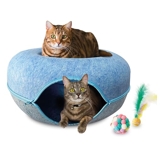 IGNOTA XXL Katzentunnelbett für Indoor Katzen - Donut Katzenbett - Katzentunnel Donut - Katzenbett Tunnel - Peekaboo Katzenhöhle Donut - Donut Katzentunnel - Katzenkreis Tunnel - Donut Tunnel Bett für von IGNOTA