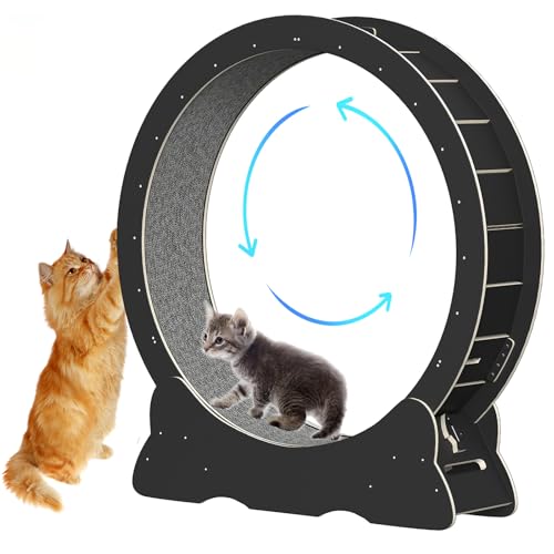 Katzenlaufrad, Laufrad für Katzen, 100cm Innendurchmesser Laufrad Katze, Super Leises Haustier Katze Laufrad Spielzeug, Holzlaufrad Laufrad Wheel Innen für Kleines Mittel Großes Katze (Schwarz, XL) von IGTOPS