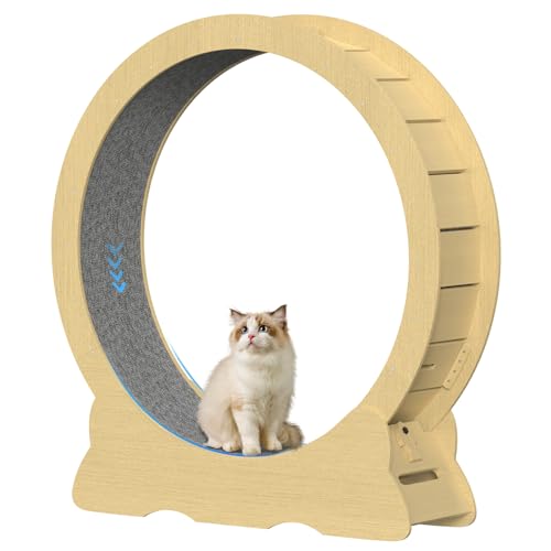 Katzenlaufrad, Laufrad für Katzen, 120cm Innendurchmesser Laufrad Katze, Super Leises Haustier Katze Laufrad Spielzeug, Holzlaufrad Laufrad Wheel Innen für Kleines Mittel Großes Katze (Holzfarbe, XXL) von IGTOPS